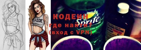 дмт Елизово