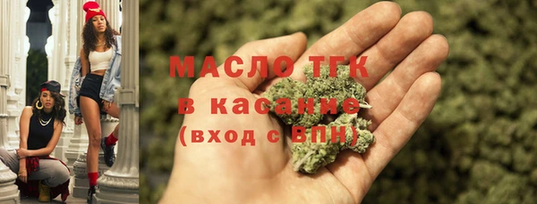 скорость Ельня