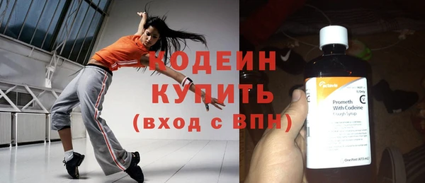 дмт Елизово