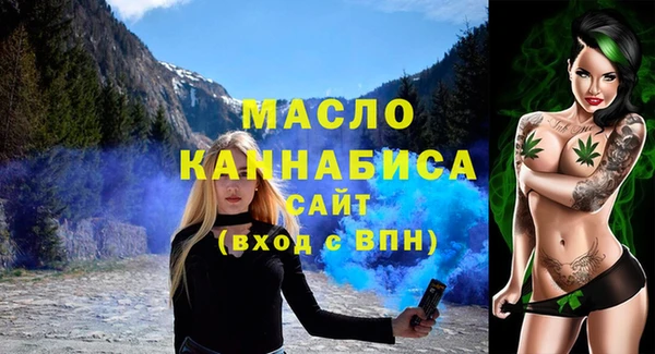 скорость Ельня