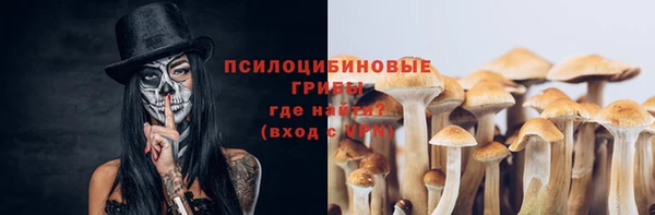 дмт Елизово