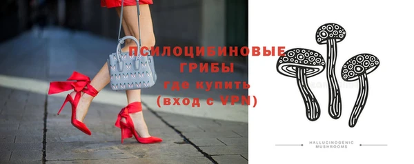 дурь Елабуга