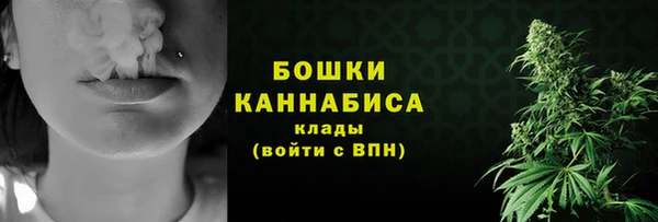 дурь Елабуга