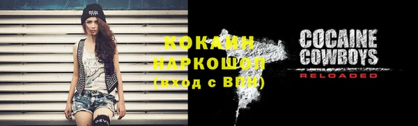 дмт Елизово