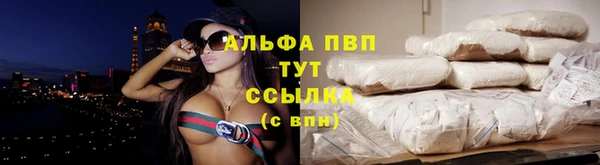 скорость Ельня