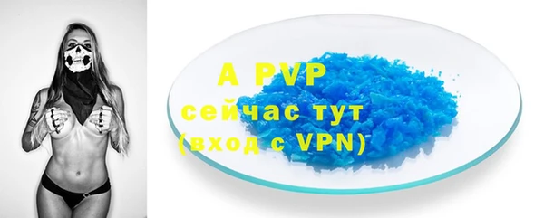 дмт Елизово