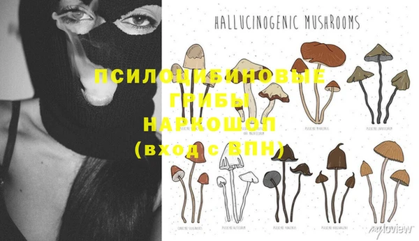 дурь Елабуга