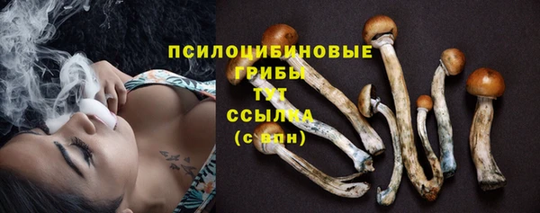 дмт Елизово