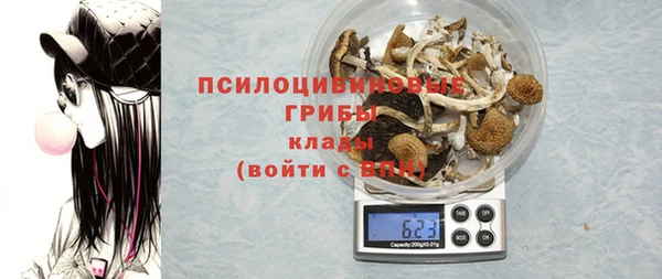 скорость Ельня