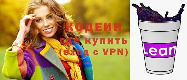 дмт Елизово